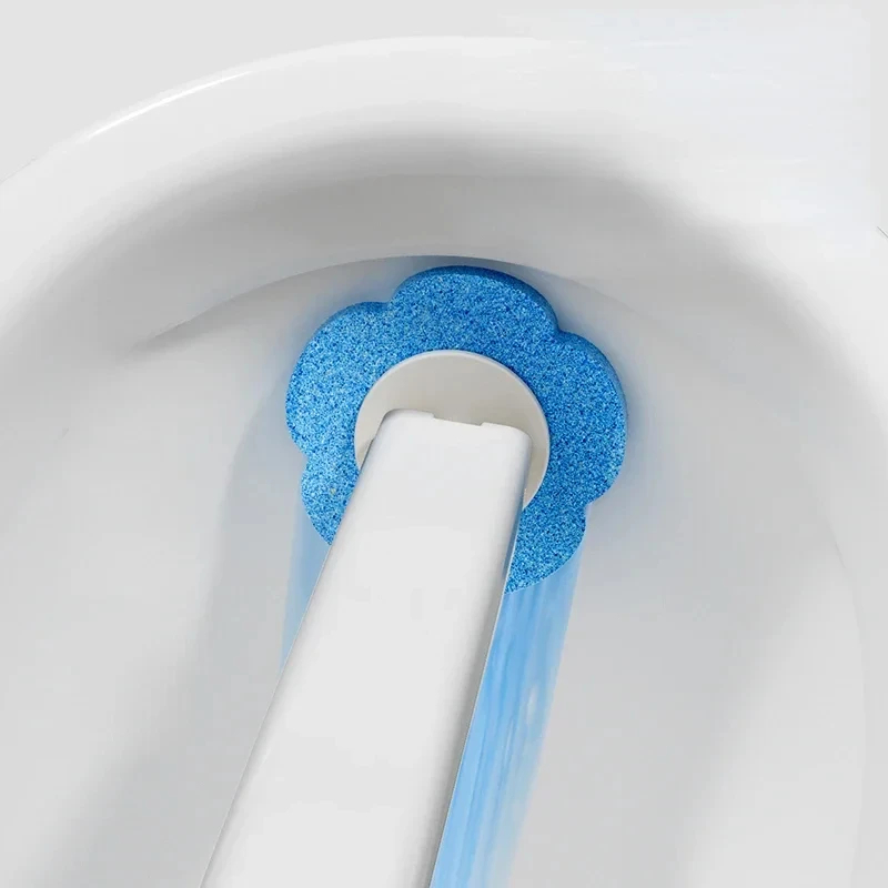 Family Disposable Toilet Brush – Group Head Brush Bewertung und Preis