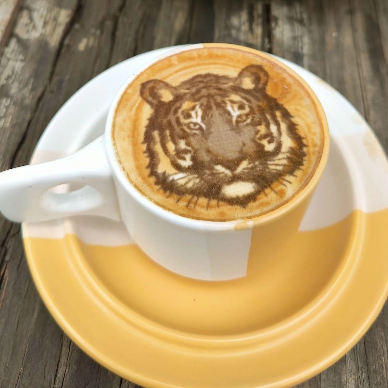 New Trend Commercial Restauran – Coffee Equipment And Supplies Bewertung und Preis