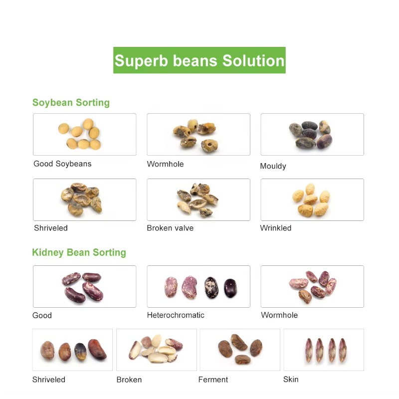 Customized Grape Sorter Machin – Coffee Equipment Price Bewertung und Preis