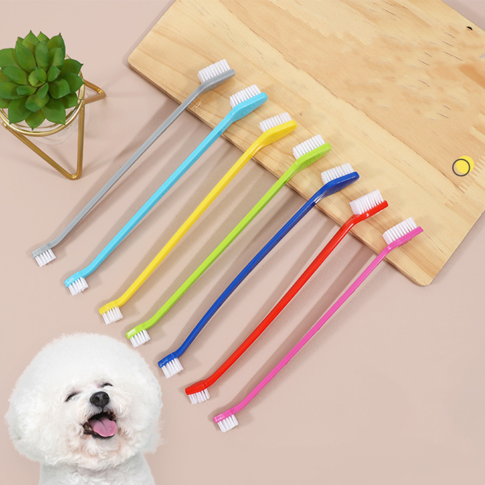 Double-headed Dog Toothbrush P – Group Head Brush Bewertung und Preis