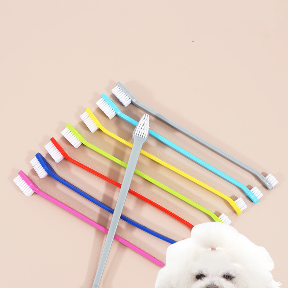 Double-headed Dog Toothbrush P – Group Head Brush Bewertung und Preis