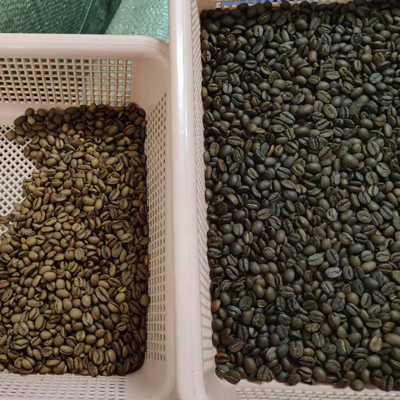 Arabica Robusta Coffee Color S – Coffee Equipment Price Bewertung und Preis
