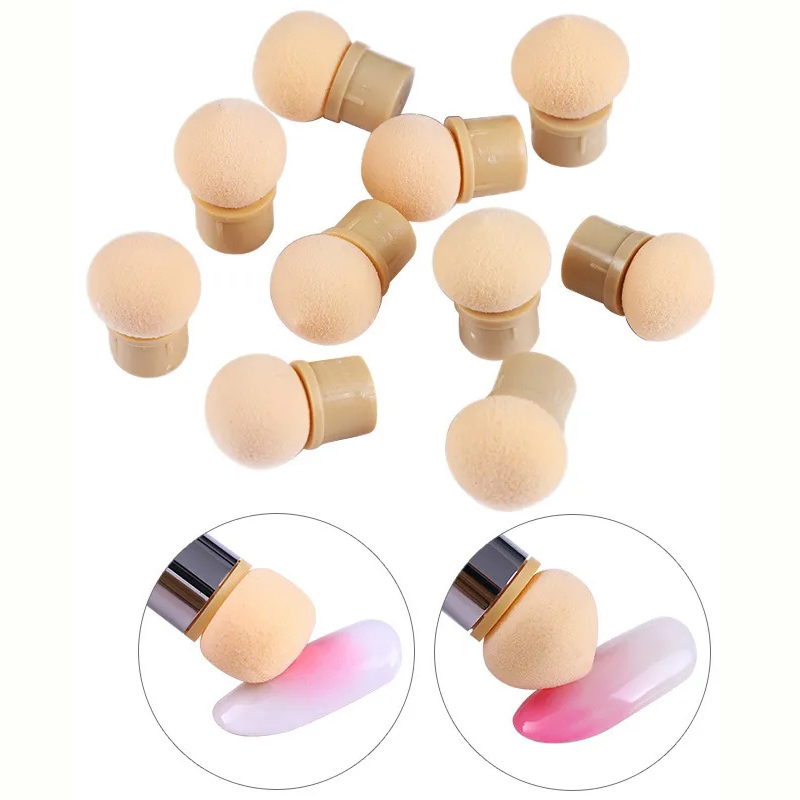 Round Sharp Head Sponge Heads  – Group Head Brush Bewertung und Preis